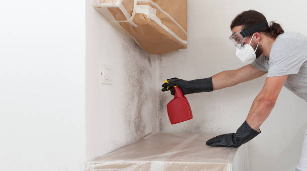 Professional Attic Mold Remediation technician working in Oreland, PA